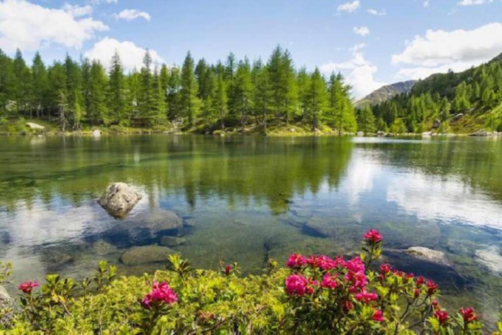 Paesaggio naturale nelle vicinanze dell'appartamento