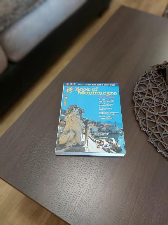 Fotografie z fotogalerie ubytování Apartman Miss T v destinaci Podgorica