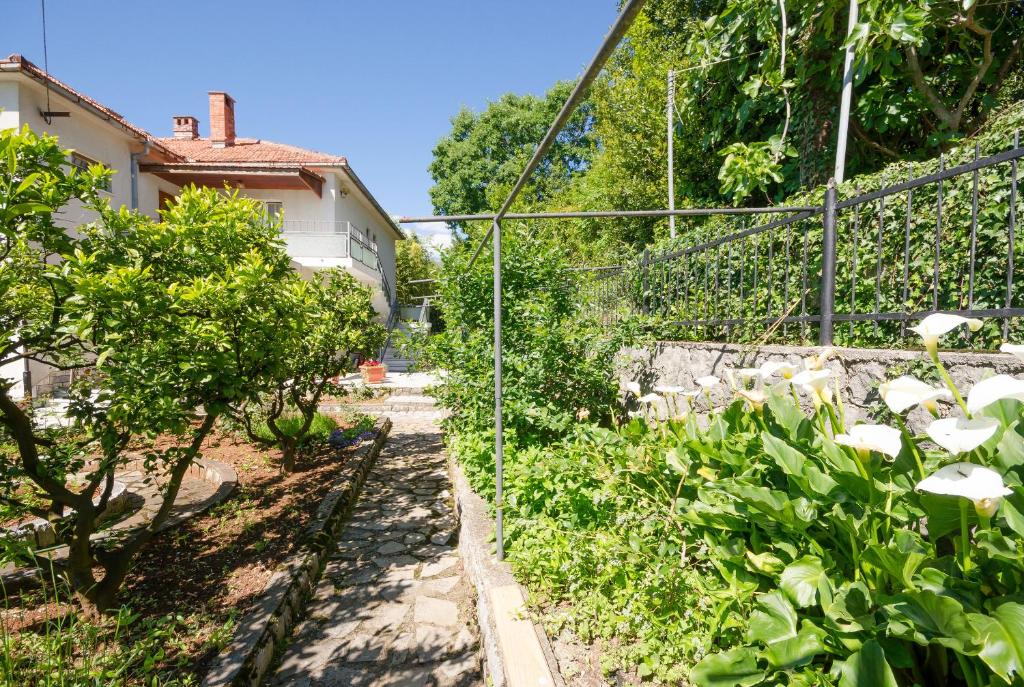 Vonkajšia záhrada v ubytovaní Apartments Mladen Jelica