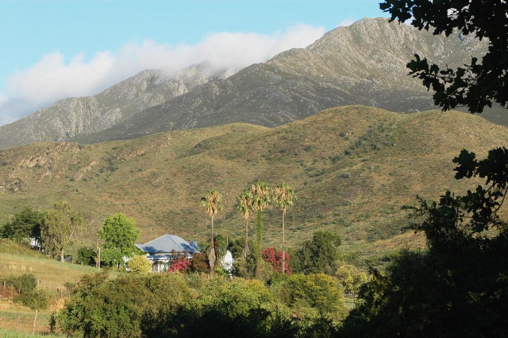 una catena montuosa con palme di fronte a una casa di The Retreat at Groenfontein a Calitzdorp