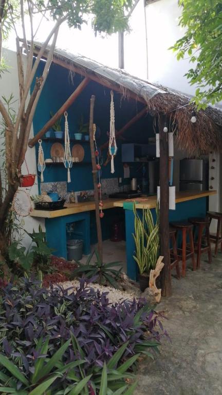 Zahrada ubytování Hostal Jardin