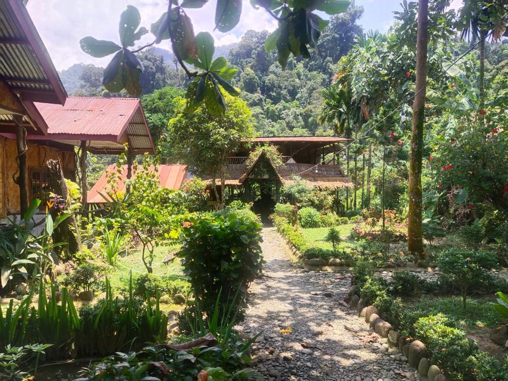 Gallery image of Mountain View Cottages & Villa Tangkahan in Tangkahan