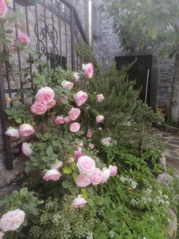 Vonkajšia záhrada v ubytovaní B&B Alle Ortensie Blu