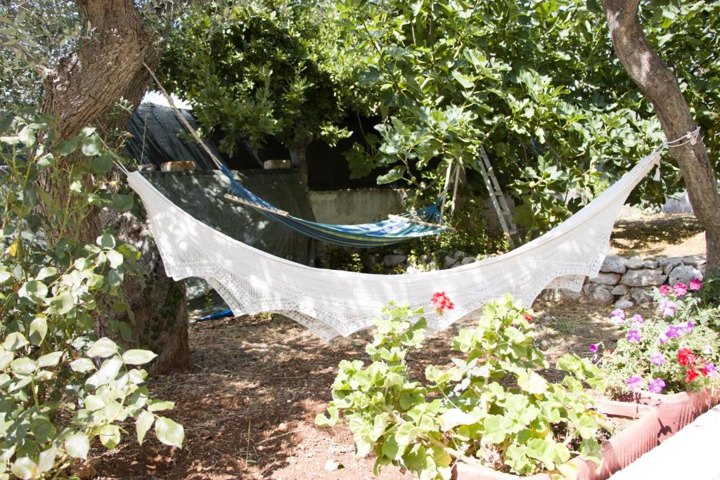 a hammock hanging from a tree in a garden at Ostuni home nature in Ostuni