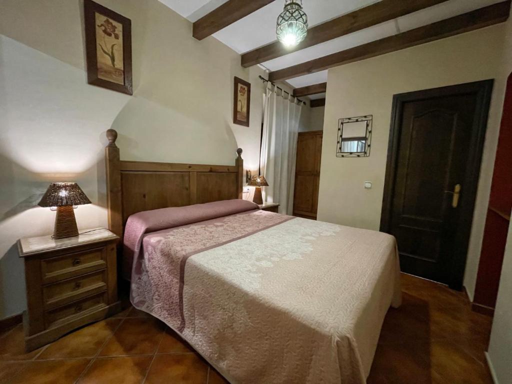 um quarto com uma cama e um candeeiro sobre uma mesa em Alojamientos Turísticos Delgado em Úbeda