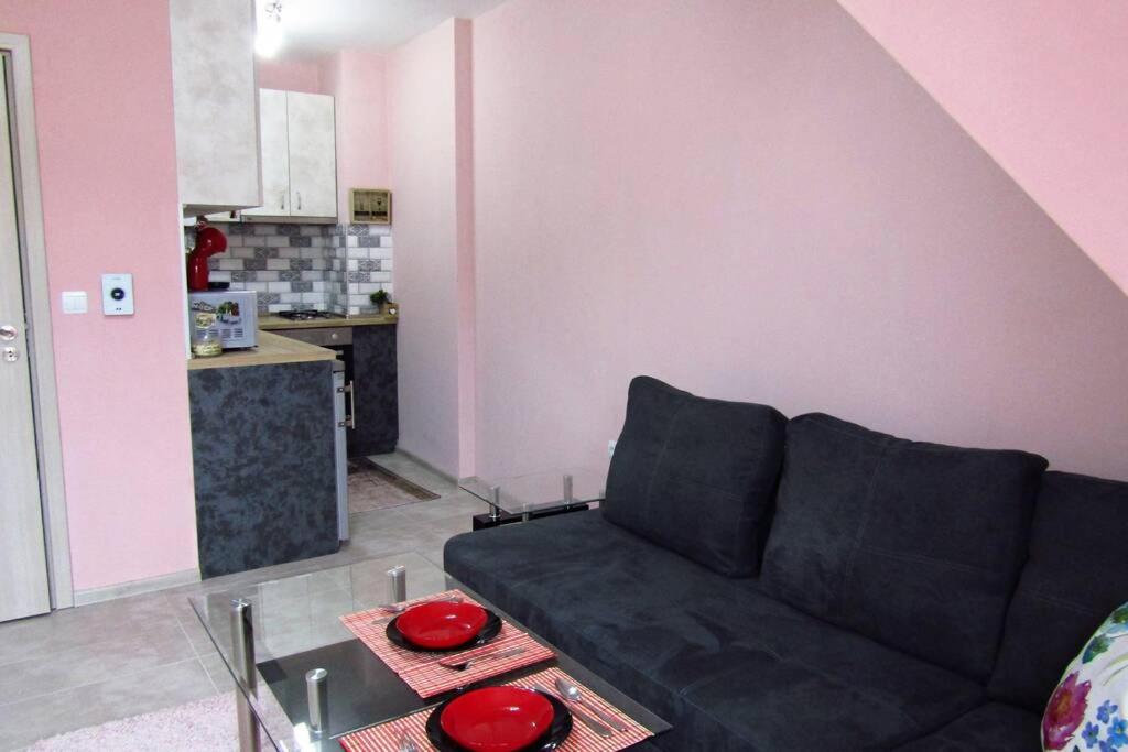 Kuchyň nebo kuchyňský kout v ubytování New & Comfortable home in Blagoevgrad center