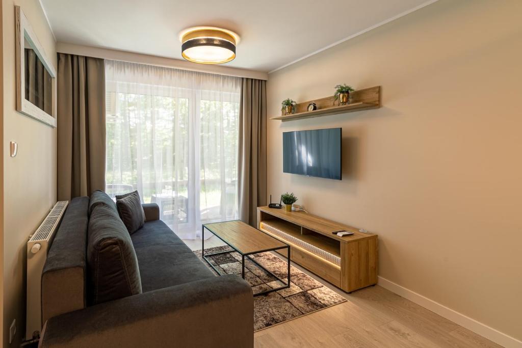 Televízia a/alebo spoločenská miestnosť v ubytovaní Przytulne Apartamenty Sun Seasons 24 z Pięknym Widokiem w Szklarskiej Porębie by Noclegi Renters