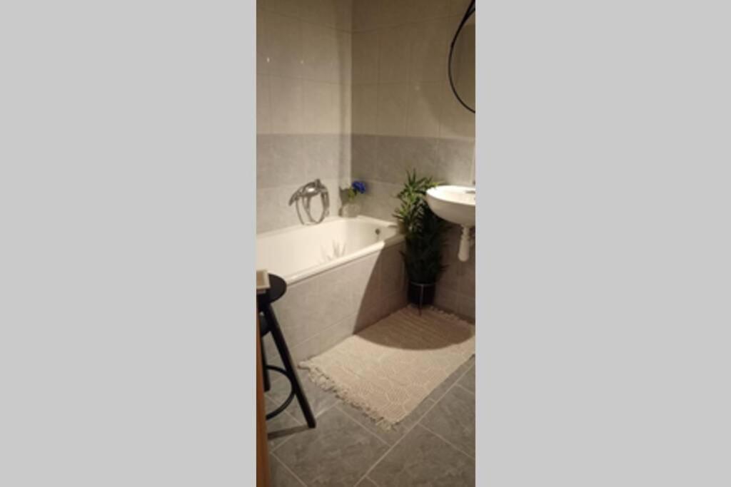 Koupelna v ubytování Apartmán Dvojka