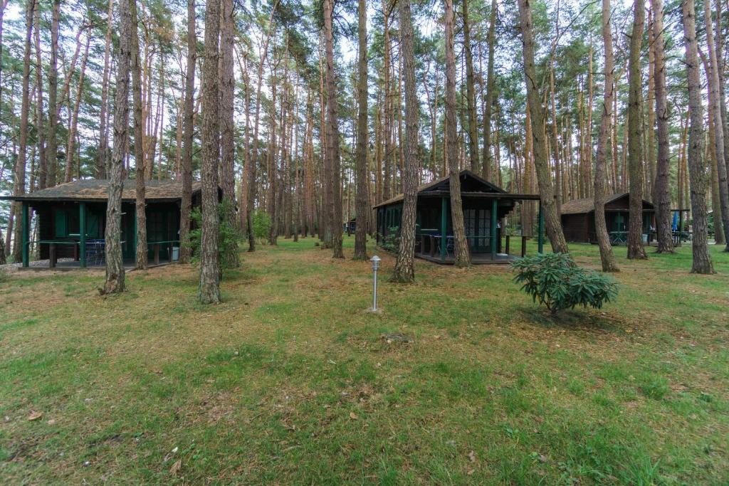 two huts in the middle of a forest with trees at Urlaub im Bungalow mitten im Wald in Lütow