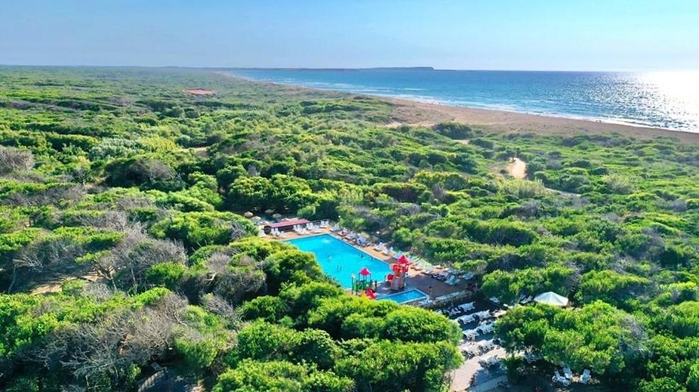 uma vista aérea de uma piscina ao lado de uma praia em Camping Bella Sardinia em S'archittu Cuglieri