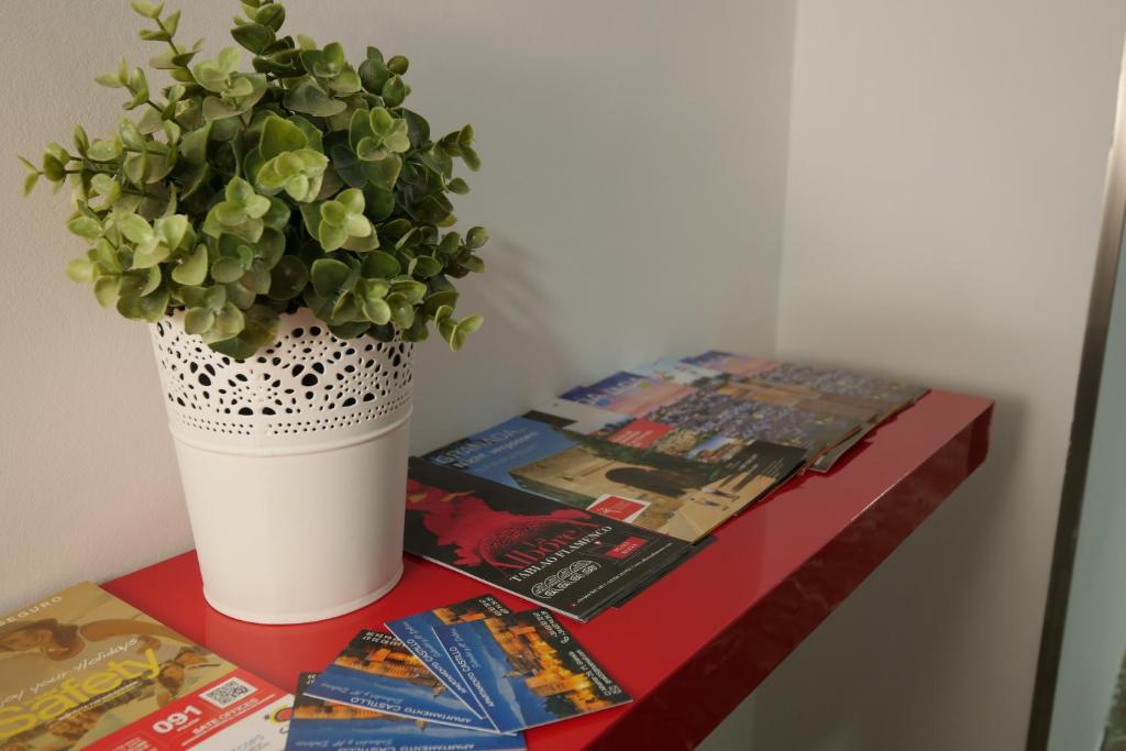 Apartamento Castillo - 15