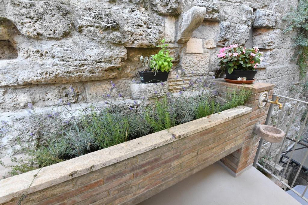 Zahrada ubytování Palazzo degli Stemmi