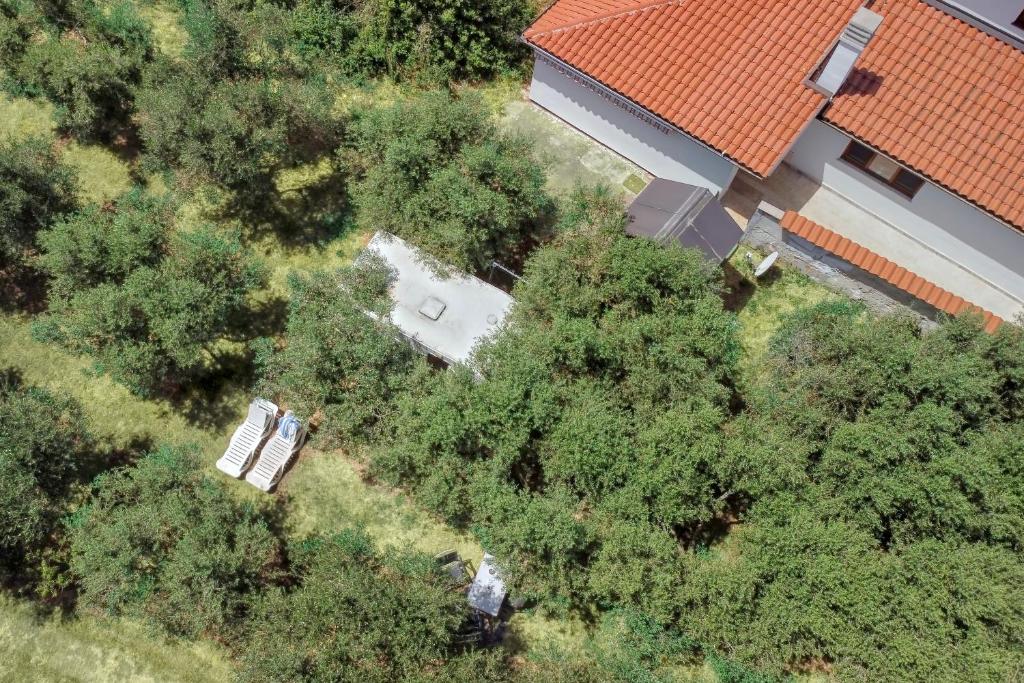 Příroda nedaleko kempu