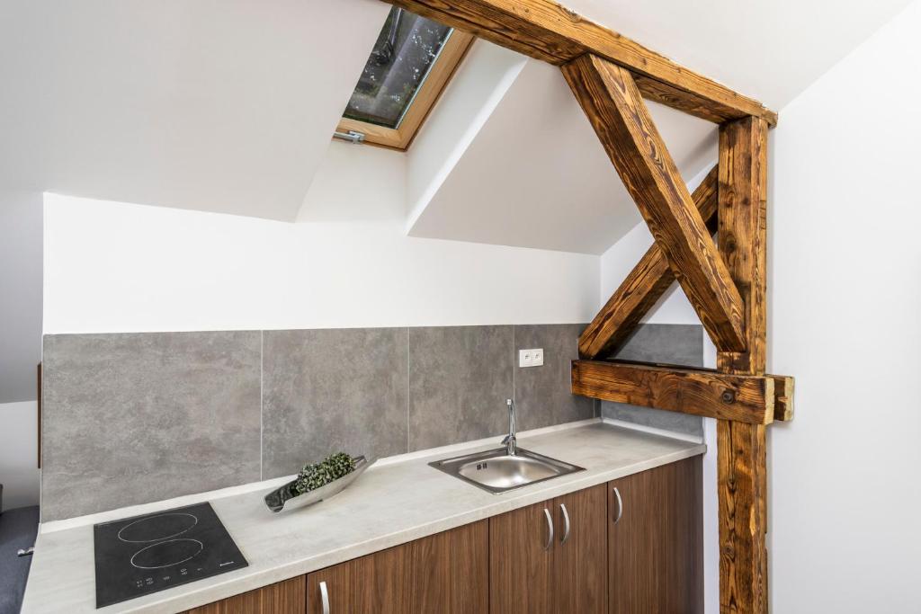 Kuchyň nebo kuchyňský kout v ubytování APARTMÁNY VILA LIBĚNA