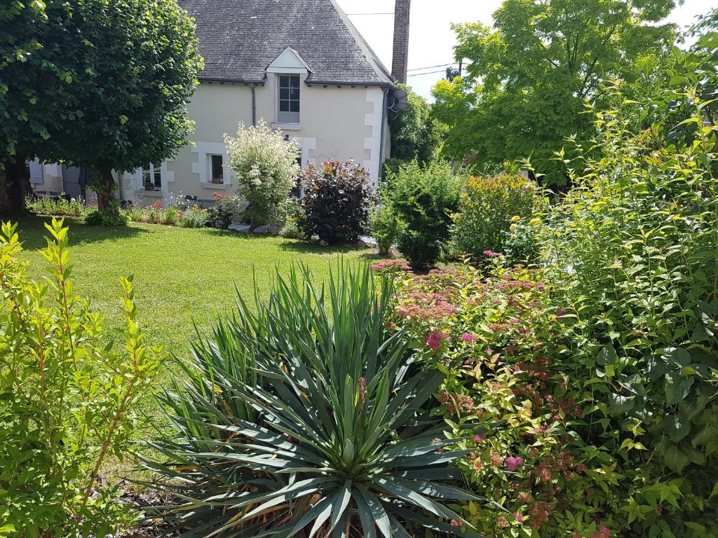 a garden in front of a white house at Les 7 Tilleuls - Chambres d'hôtes in Mesland