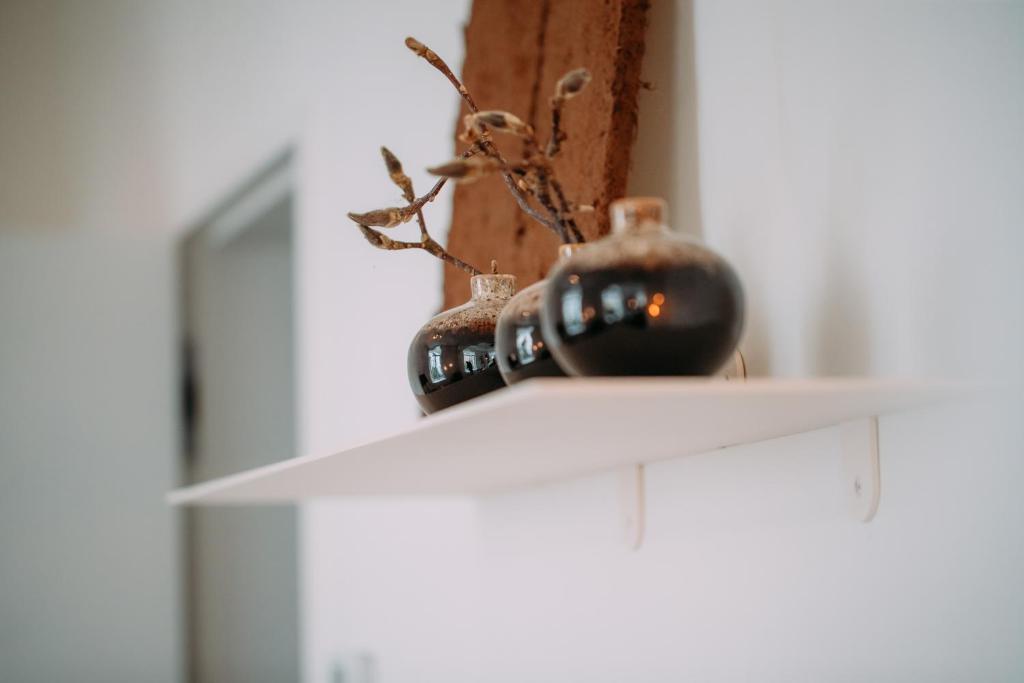 Sud d'Anvers - Resim 38