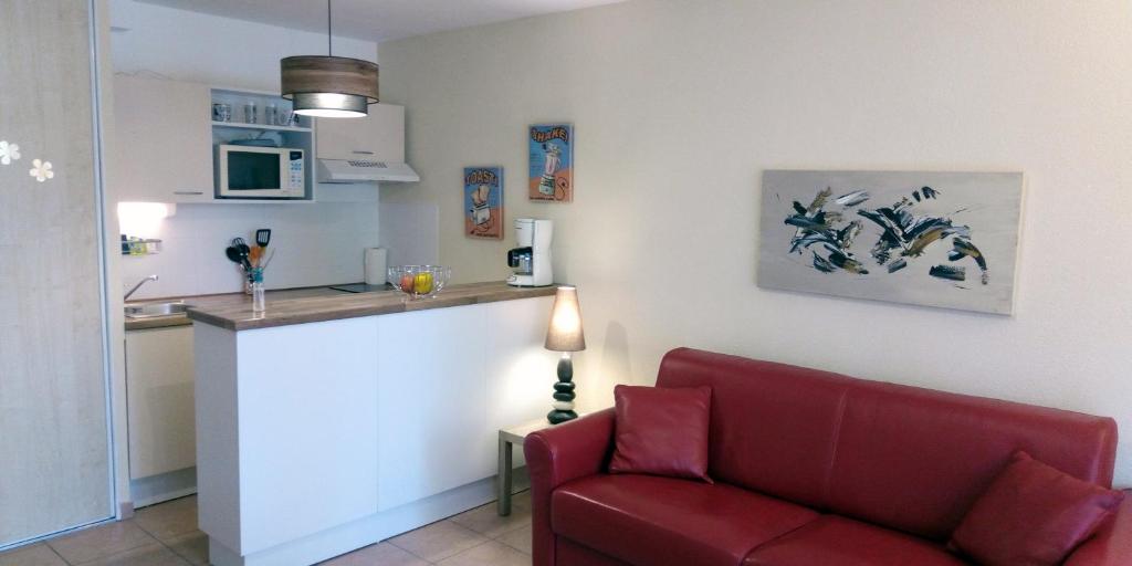 Studio Centre Thonon Les Bains في تونو لي بان: غرفة معيشة مع أريكة حمراء ومطبخ