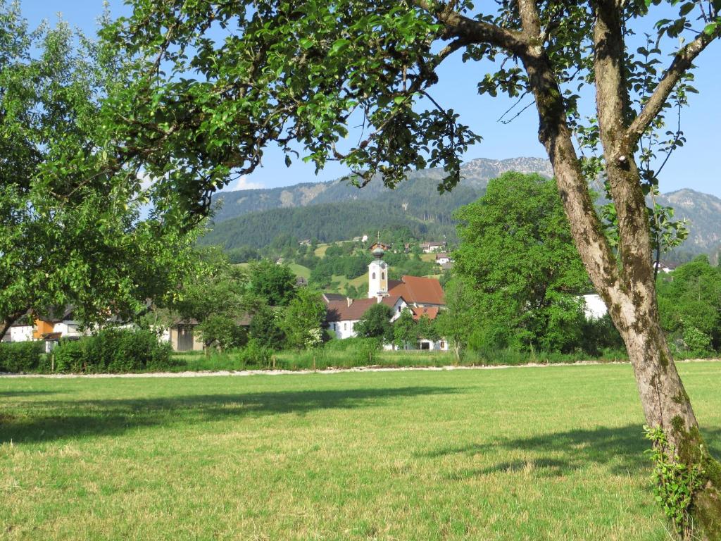 Příroda nedaleko penzionu