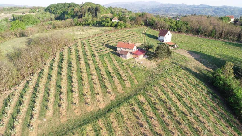 an aerial view of a house in a field of crops at Vikend house in Ljig