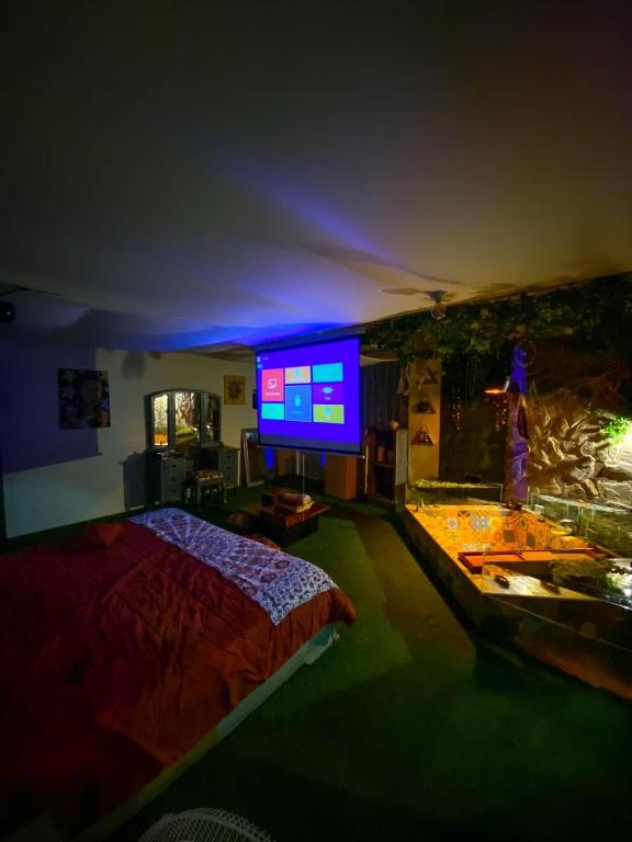 TV a/nebo společenská místnost v ubytování Cosmos Chill - Suite con jacuzzi y acuario