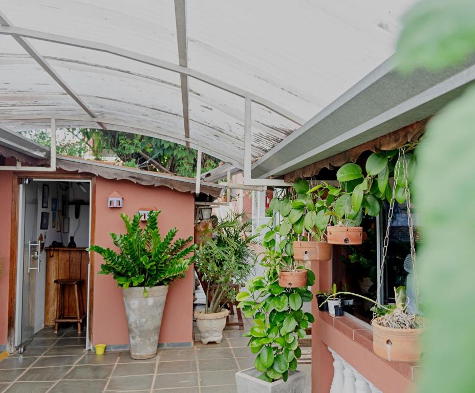 阿瓜斯－迪聖佩德羅的住宿－Piccola Pousada，一座建筑中种有盆栽植物的庭院