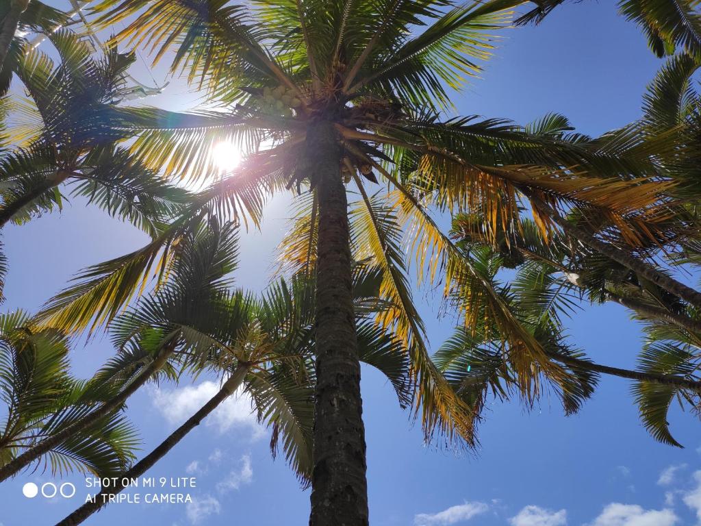Φωτογραφία από το άλμπουμ του Descanso em Ambiente Familiar σε Γκουαρούχα