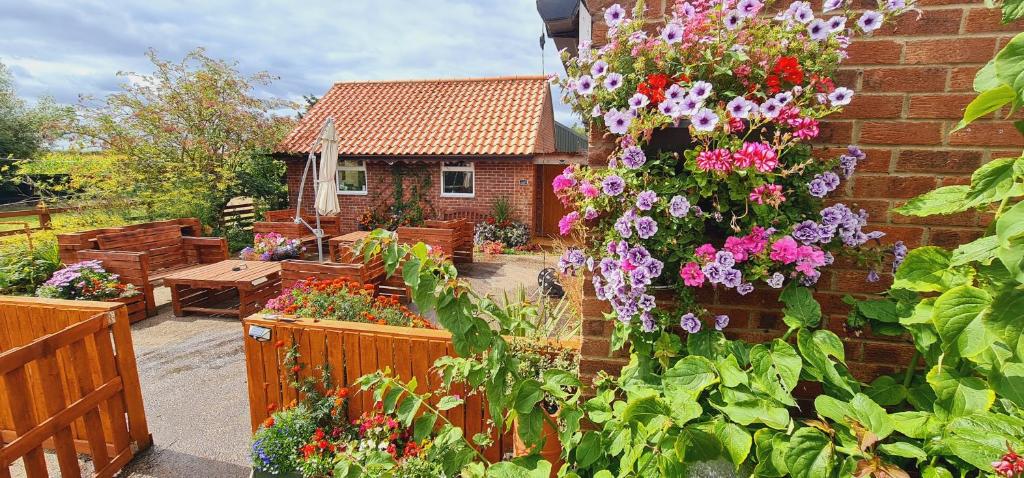 a garden with many different types of flowers at Sherwood Studio Annexe 1 Bedroom Entire Property in Boston