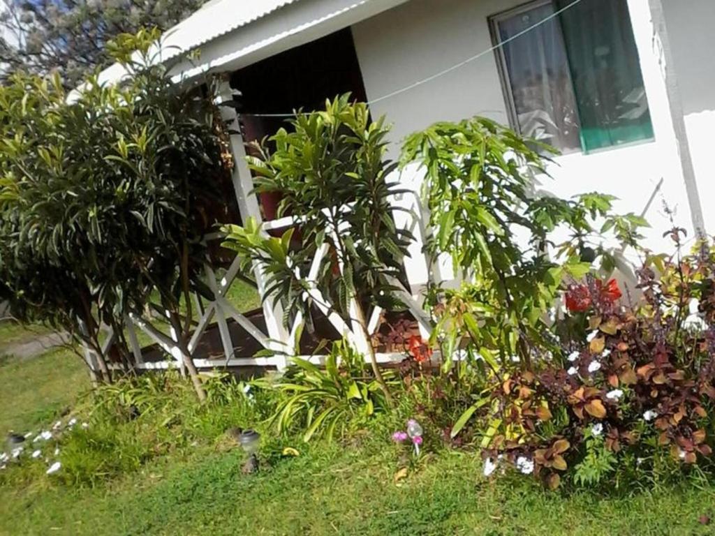 un jardín frente a una casa con plantas en Honu Rapanui ethnic cabins, en Hanga Roa