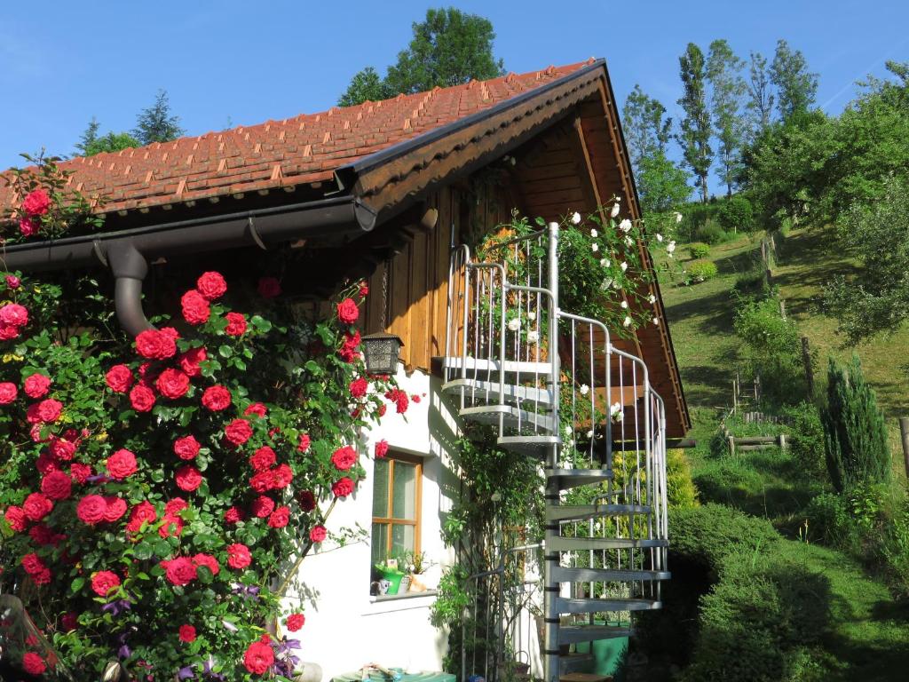 Zahrada ubytování Haus Loidl