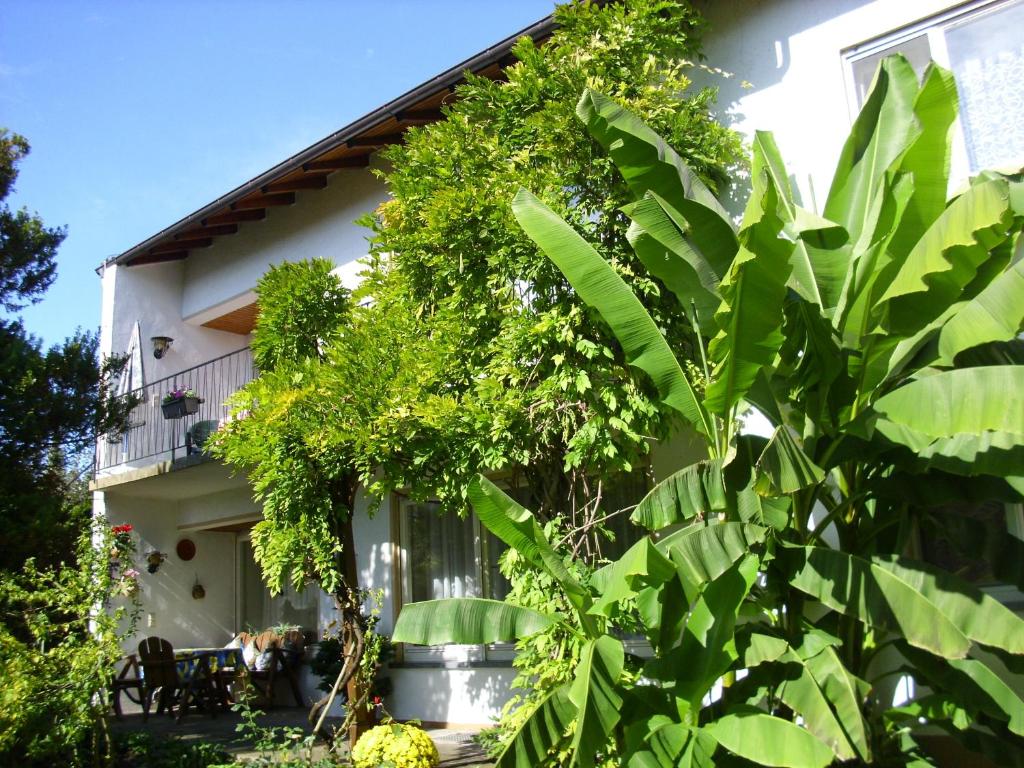 Κήπος έξω από το Ferienwohnung Immenstaad