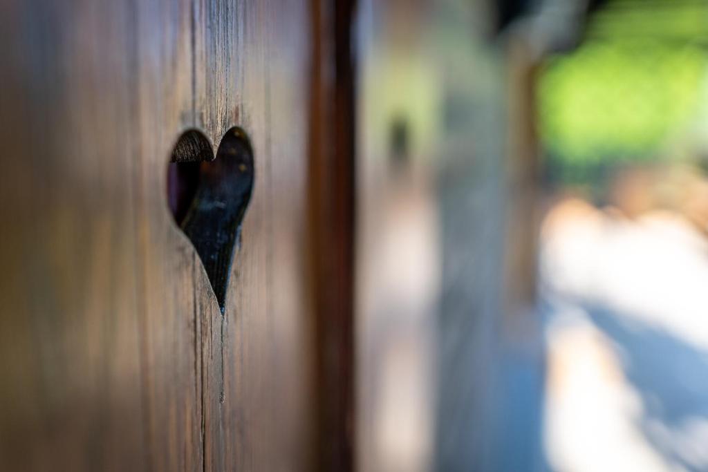 Fotografia z galérie ubytovania Kranach 5 - Wohnen beim Wein v destinácii Gamlitz