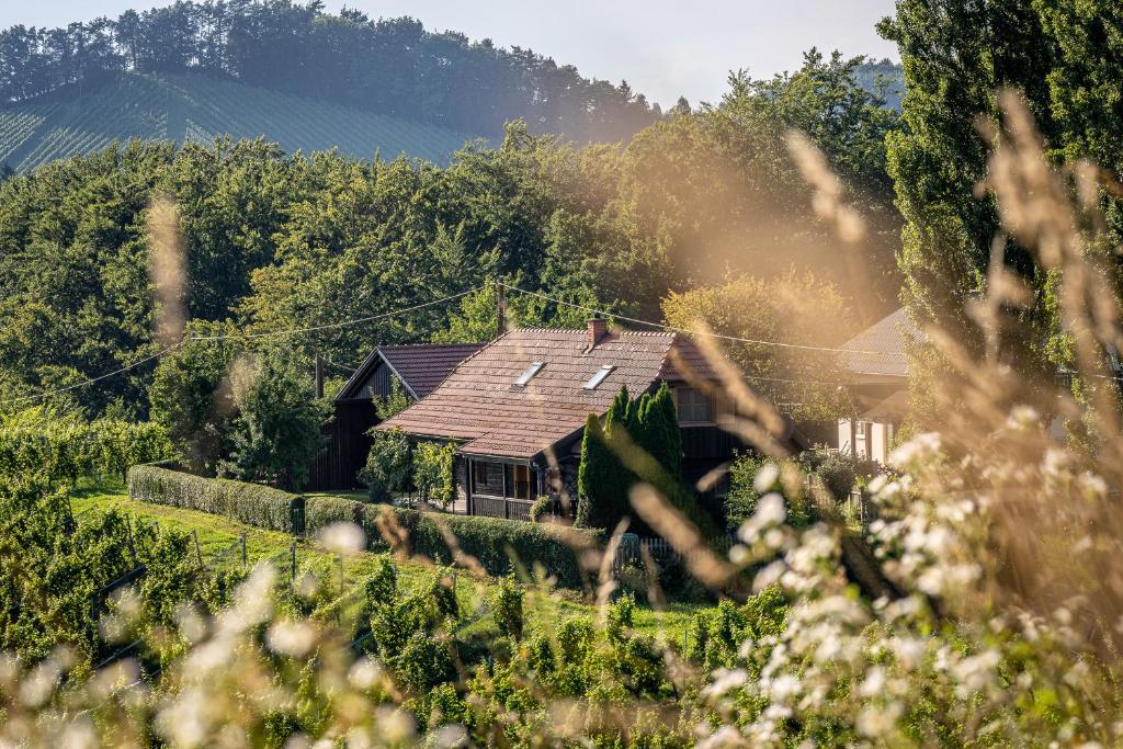 Príroda v okolí dovolenkového domu