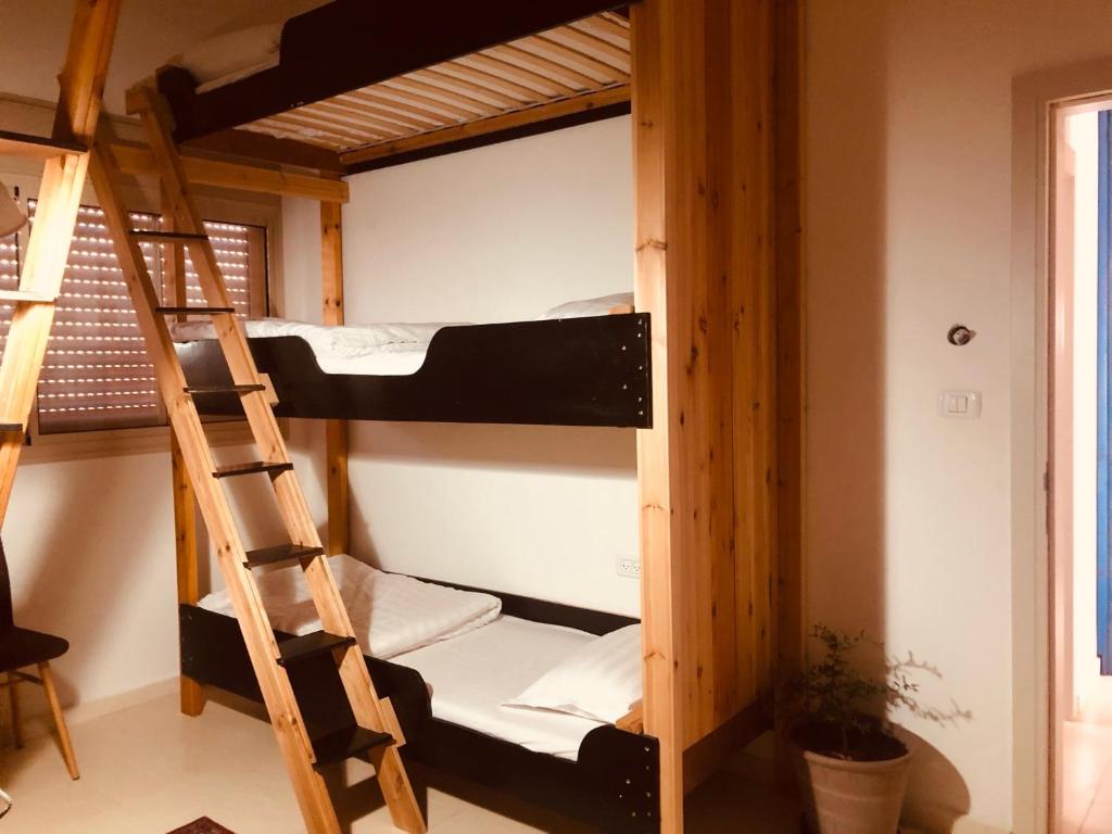 a bunk bed in a room with a ladder at לינה למטייל in Ma'ale Gamla