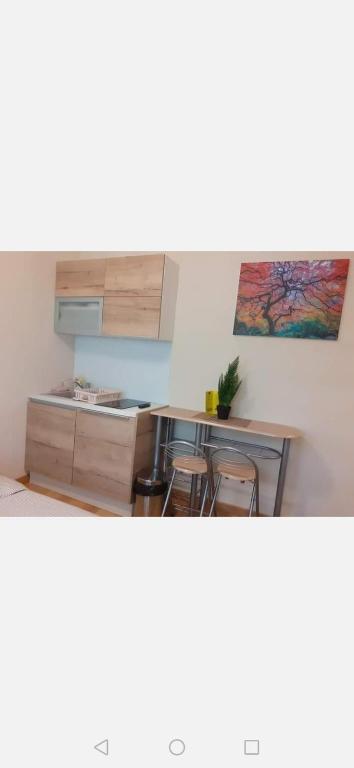 Fotografija u galeriji objekta Vila Đukić Zlatibor na Zlatiboru