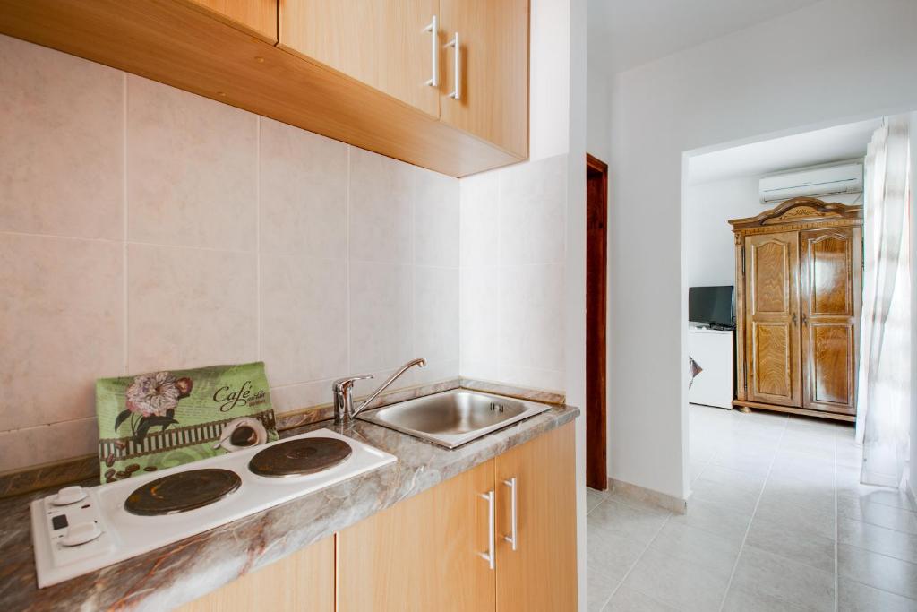 Kuchyň nebo kuchyňský kout v ubytování Villa Dionis