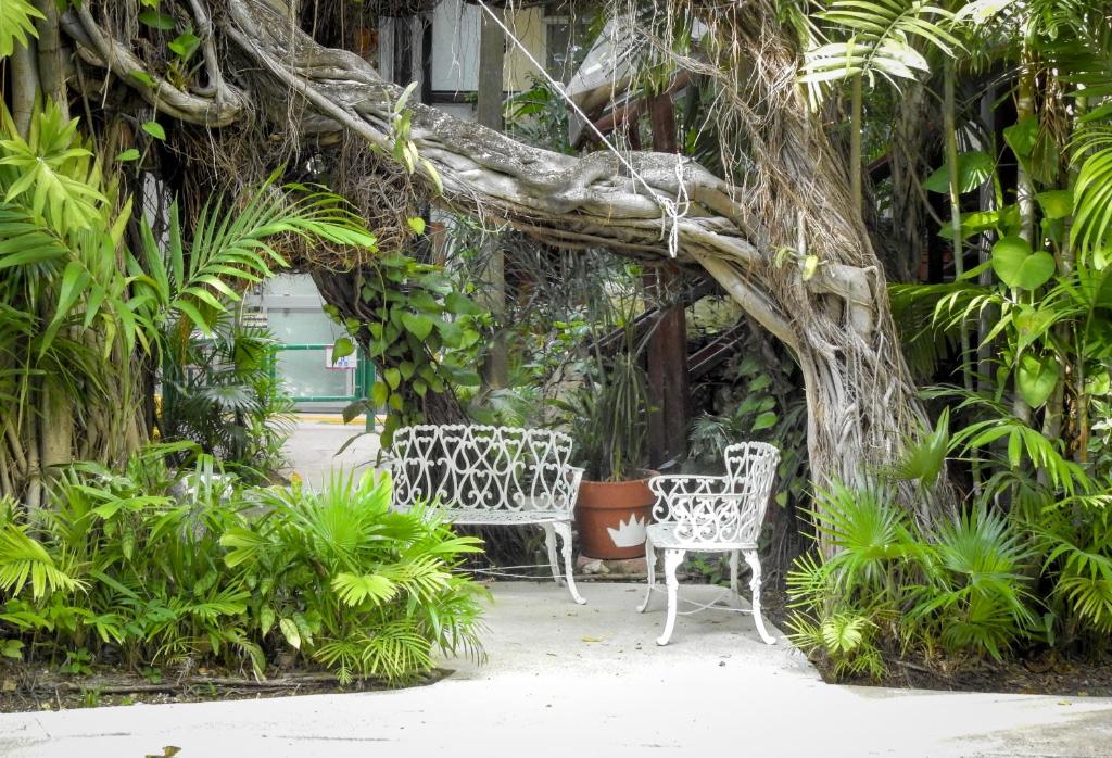 Um jardim em Eco-hotel El Rey del Caribe