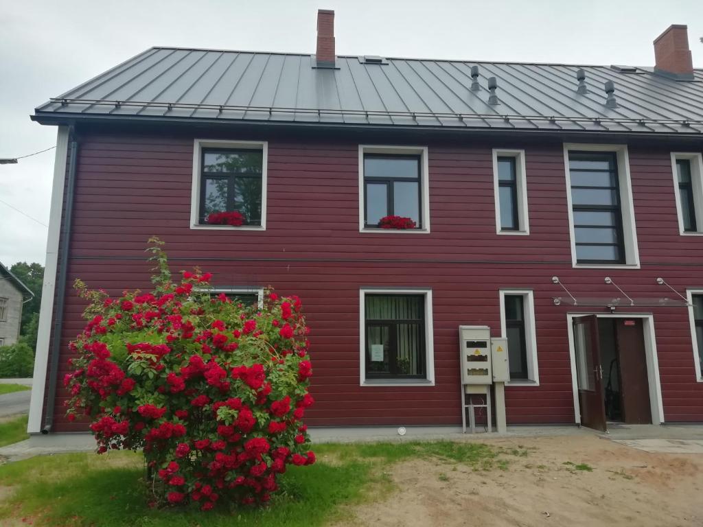 een rood huis met een rode struik met rode bloemen bij Salisburg Residence in Mazsalaca