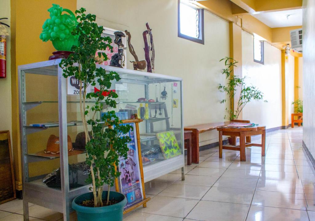 Fotografie z fotogalerie ubytování Remari Tourist Inn v destinaci Puerto Princesa