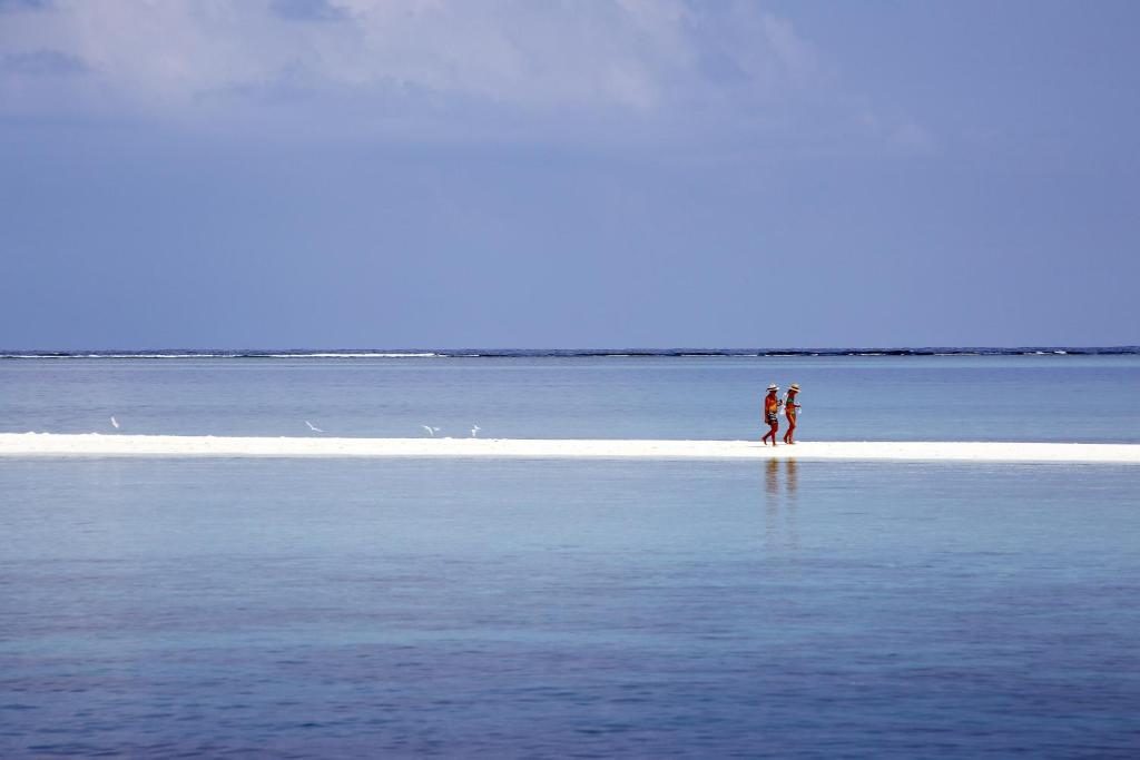 Gangehi Island Resort & Spa - View 31