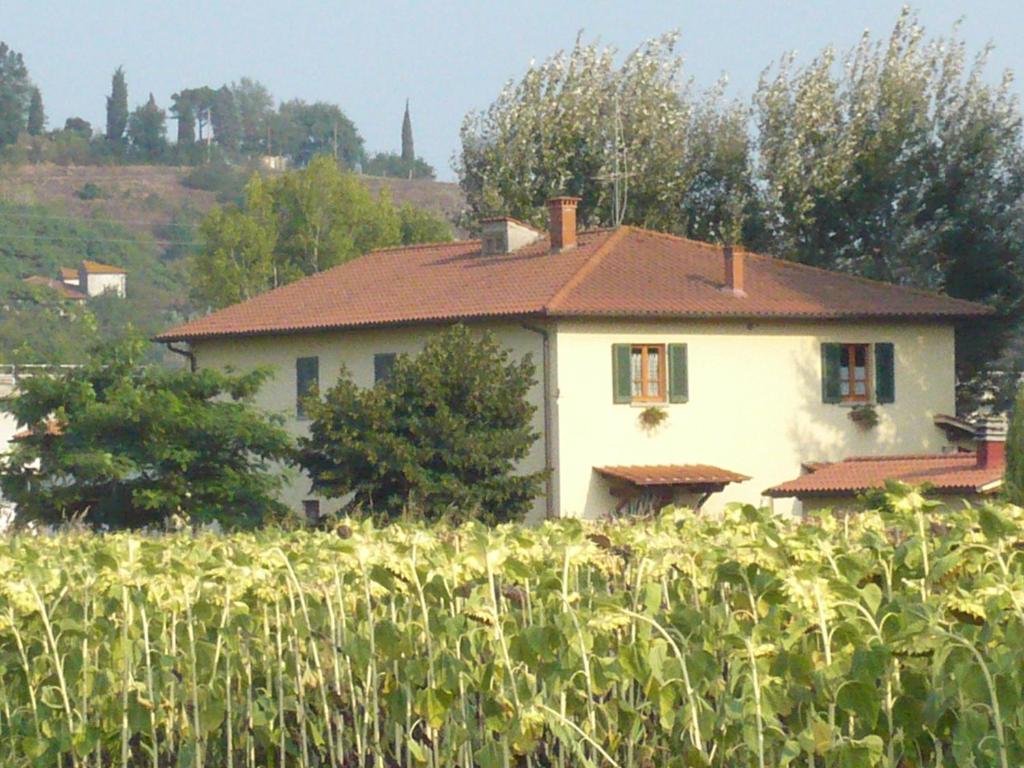 a house in the middle of a field of crops at Agriturismo La Ripa in Reggello