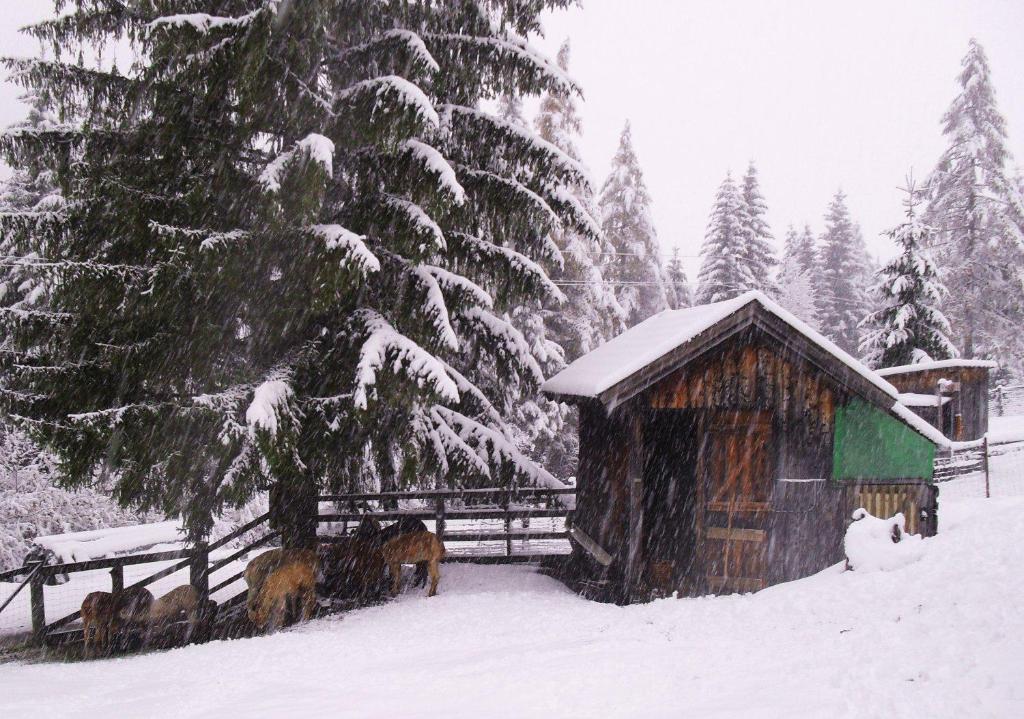Gästehaus Panorama v zimě