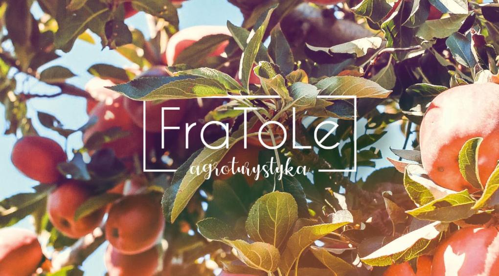 a picture of a tree with apples on it at FraToLe in Nielisz