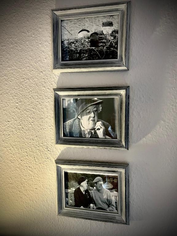 Hotel Am Volksgarten - Resim 41