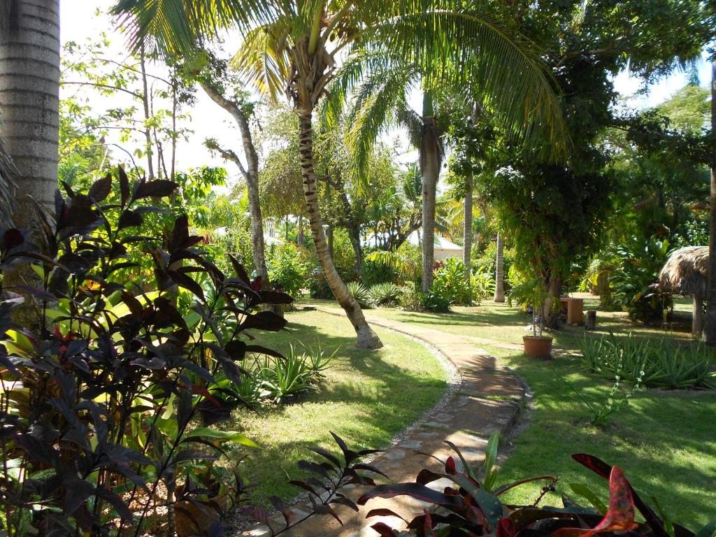 Giardino di Casa 3 amigos-Palm roofed house