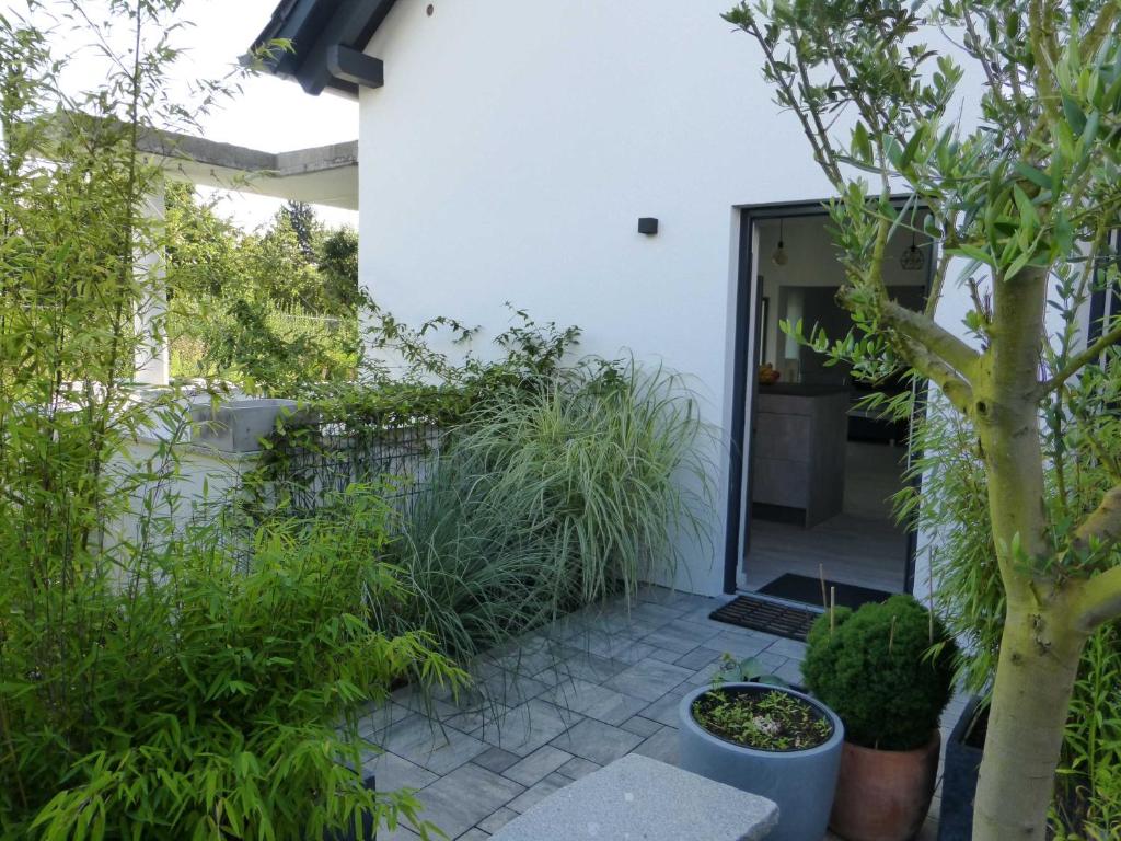 a courtyard with plants and a door to a house at Forststrasse Apartment in Stockstadt am Main