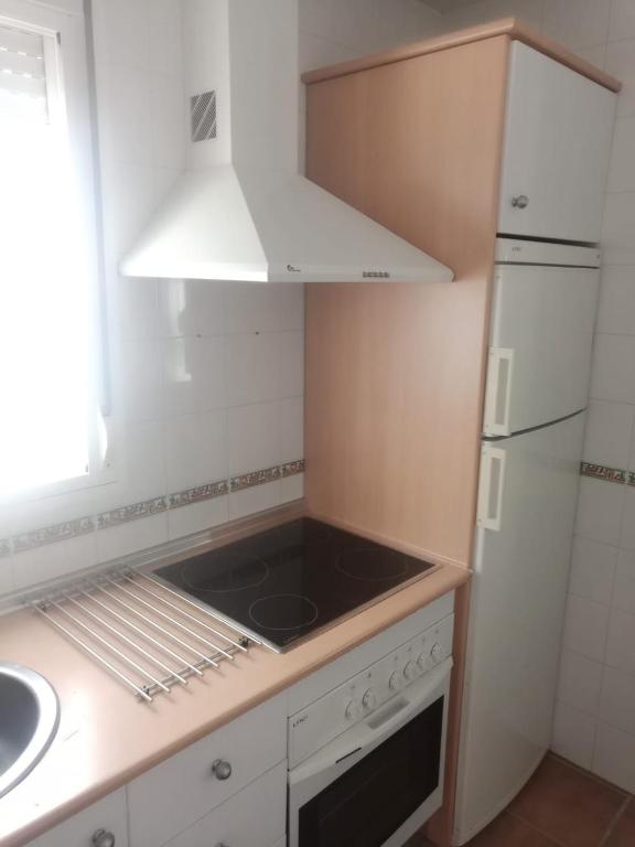 A kitchen or kitchenette at ALCARAVAN 50