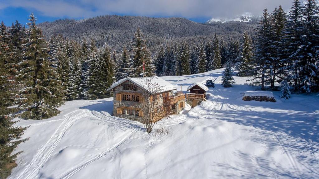 Chalet Le Plaigny - golf de Méribel في Les Allues: كابينة خشب في الثلج على جبل