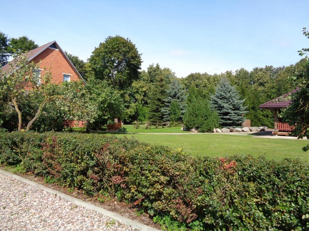 a yard with a house and a lawn with bushes at Sodyba Skardupiai in Vidgiriai