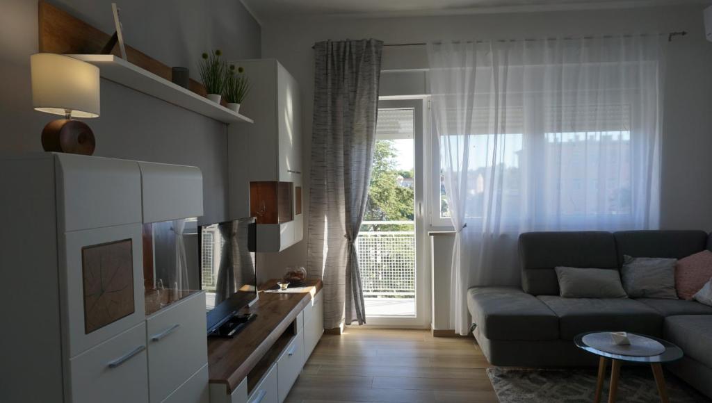 普拉的住宿－Apartman Luka，带沙发和电视的客厅