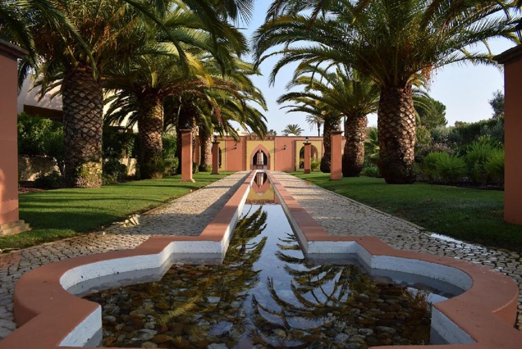 un patio con palmeras y una fuente de agua en casa pipoca en Lagos